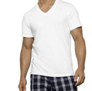 Fruit Of The Loom V-Neck Plain White T-Shirt